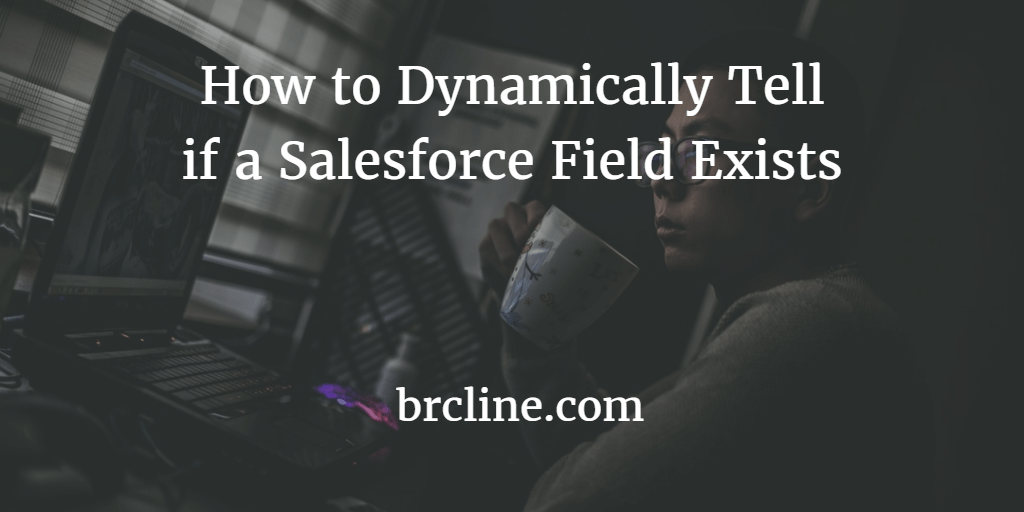 How to Dynamically Tell if a Salesforce Field Exists
