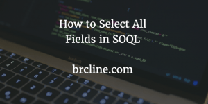 Apex How to Get a List of Fields Set on an sObject