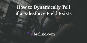 Apex: How to Dynamically Tell if a Salesforce Field Exists